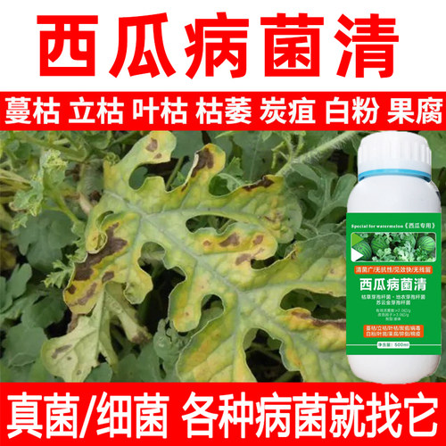 西瓜专用药西瓜病菌清青枯病