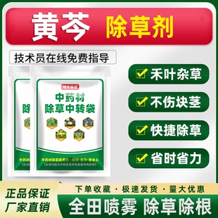 黄苓苗后除草剂除草药灰灰菜狗尾草死草烂根药中药材苗后除草正品