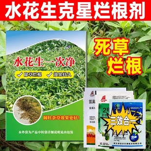 杀水花生克星烂根剂正品除草水花生农用药水花生净灭草组合套餐