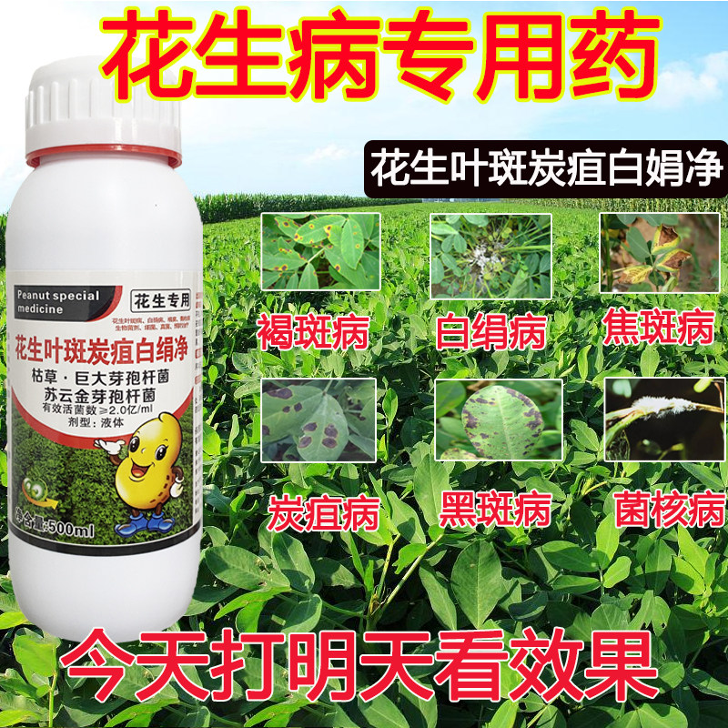 花生病专用花生杀菌剂白绢病叶斑病死苗根腐锈病菌核病花生专用药