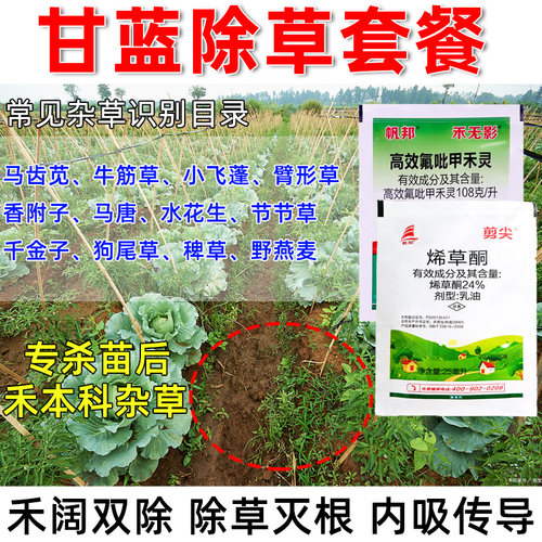 甘蓝苗后套餐除牛筋草小飞蓬马唐马齿苋禾本科杂草蔬菜农用除草剂