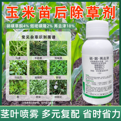 玉米除草硝烟莠去津玉米苗后农用除草烂根剂正品不伤苗玉米除草药