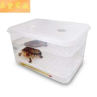 乌龟黑白发色盒育苗箱蛋龟饲养盒收纳盒龟苗隔离盒过冬保暖盒龟缸