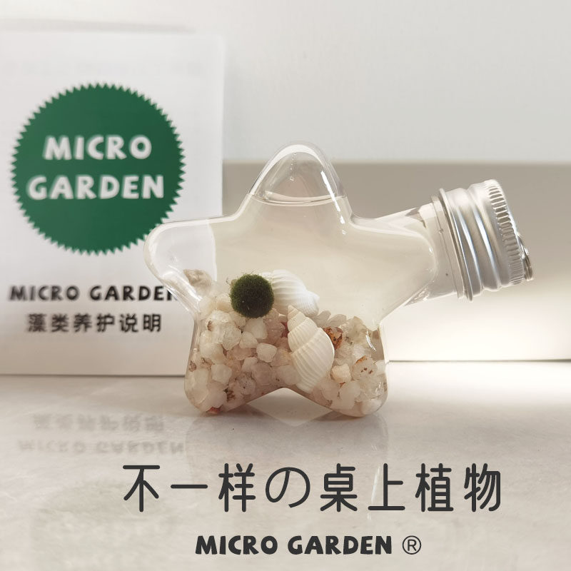 迷你生态瓶园艺微景观学生宿舍创意装饰品摆件海藻球水草小植物,鲜花速递/花卉仿真/绿植园艺,情绪植物,淘宝优惠券,粉丝福利购,淘宝优惠卷