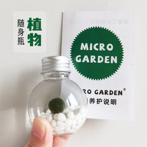 小海藻球生态瓶mini植物十元