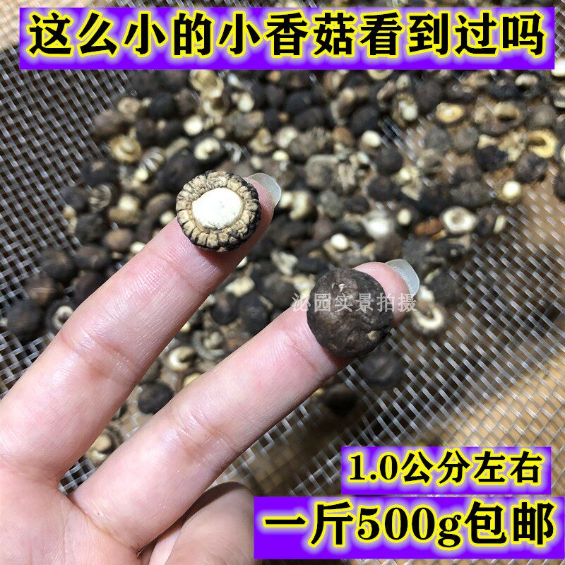 珍珠菇小香菇干货金钱菇剪脚小干香菇冬菇小花菇河南特产500g包邮