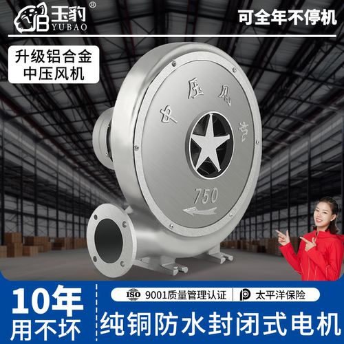 【10年用不坏】玉豹铝壳中压风机