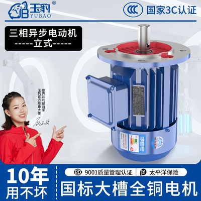 立式三相异步电动机0.75/1.1/1.5/2.2/3/4/5.5/7.5KW电机380v全铜