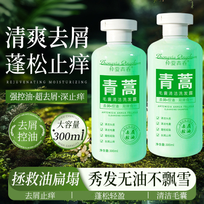 【控油蓬松】青蒿去屑清爽洗发水