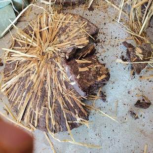 茶枯饼洗头茶麸饼纯天然茶枯养发茶头屑粉茶麸粉控油油茶籽饼肥料