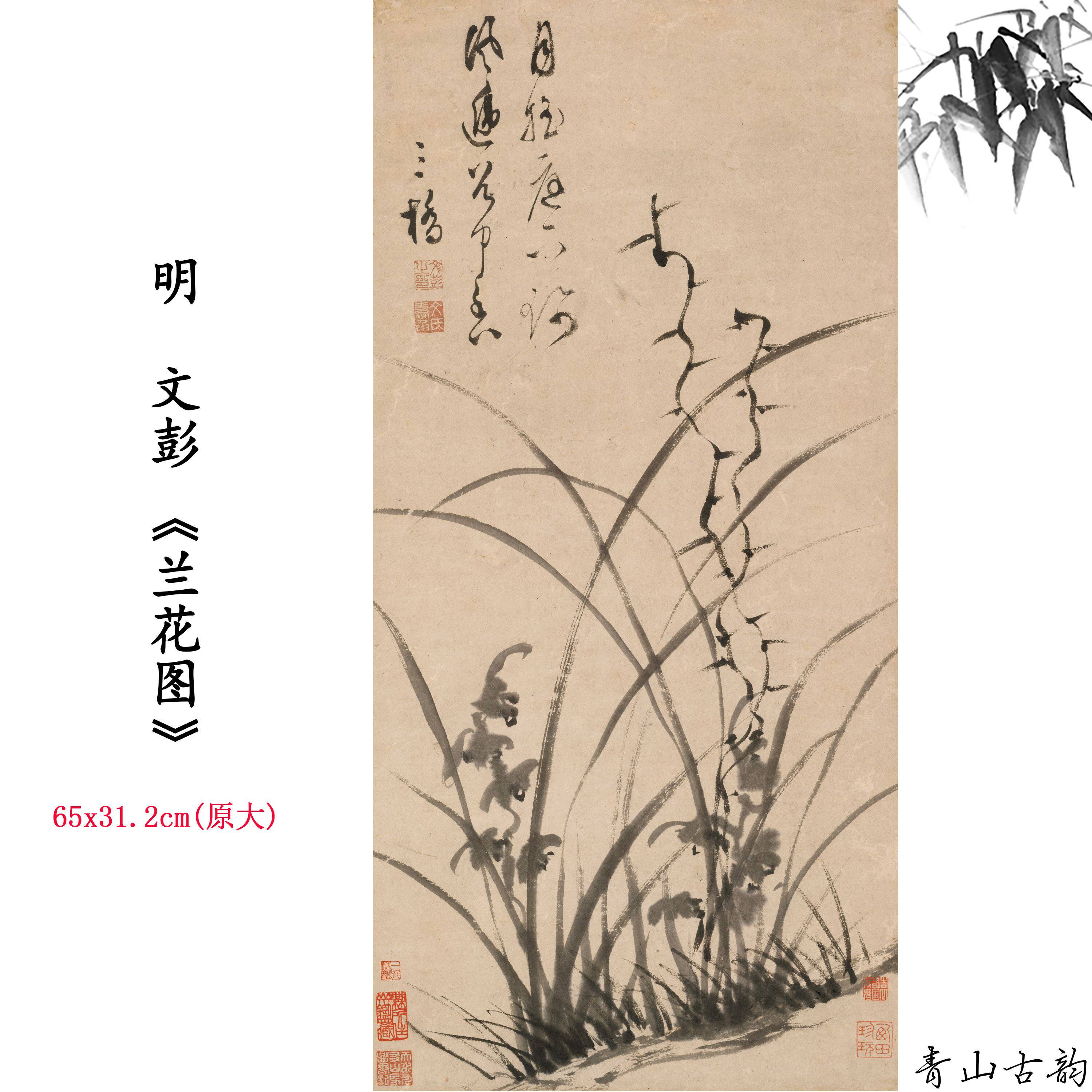 新品1:1明 文彭 兰花图花卉画卷仿古字画高清微喷复制临摹范本