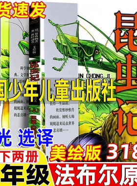 昆虫记中国少年儿童出版社美绘版上下两册王光选译法布尔原著四年级上册下册通用正版昆虫热爱四年级必读经典书目法布尔的昆虫日记
