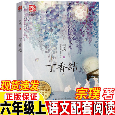 丁香结宗璞著六年级上册