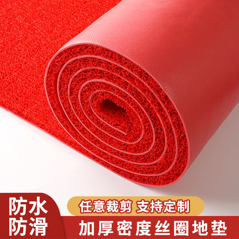 入户地垫门垫塑料丝圈防滑脚垫子