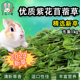 优质紫花苜蓿草兔子龙猫烘干牧草高蛋白幼兔豚鼠饲料磨牙干草1kg