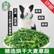 2025新大麦草段兔子龙猫豚鼠牧草增强体质调理肠胃粗纤维嫩绿250g