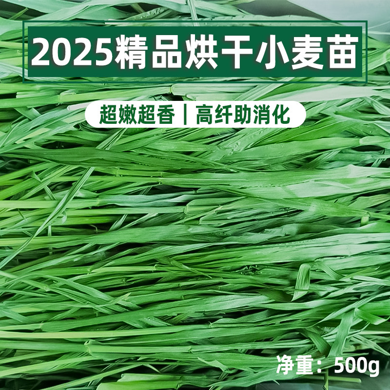 2025烘干小麦嫩苗兔子龙猫荷兰猪牧草新草饲料牧草天然纤维粮食