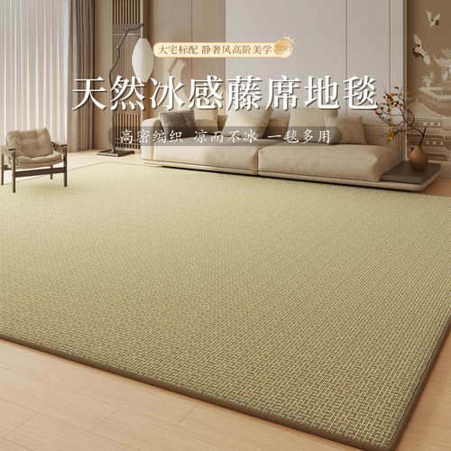夏季凉席地垫客厅地毯家用卧室床边毯榻榻米飘窗垫加厚防滑藤席垫