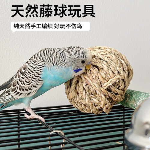 手编鹦鹉啃咬玩具无人工色素解闷