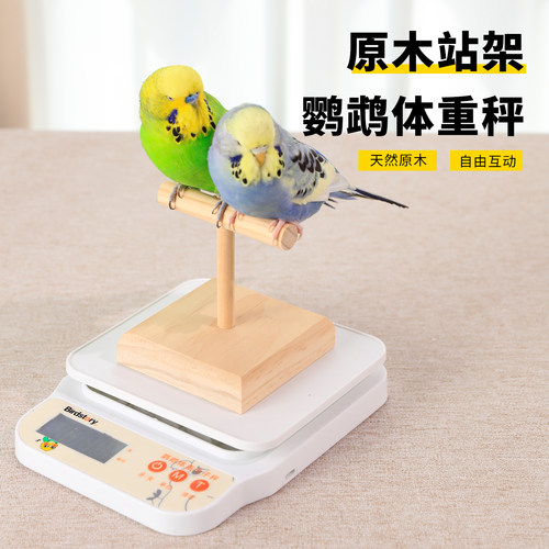 鹦鹉专用体重秤鸟称重T型站杆架