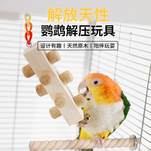 高能鹦鹉防止抑郁解压可磨喙