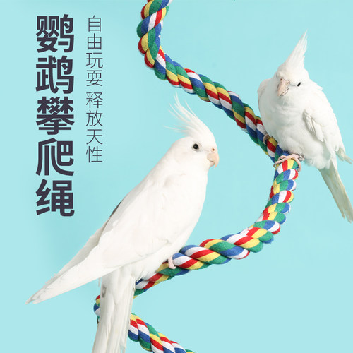 高能鹦鹉攀爬绳爬梯自由造型