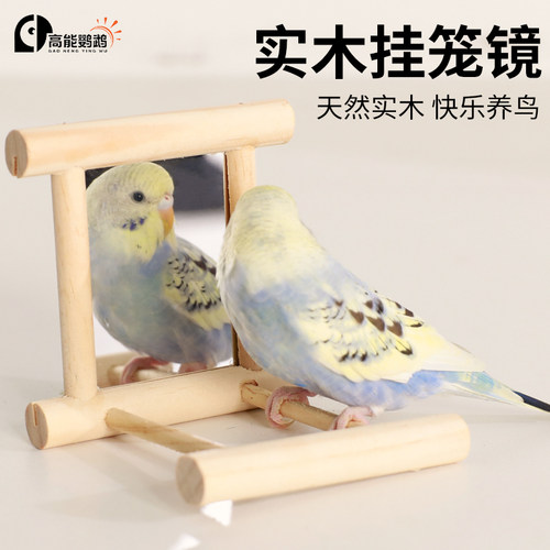 高能鹦鹉笼镜陪伴玩耍安装便捷