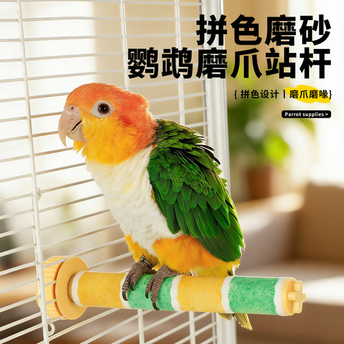 高能鹦鹉双拼磨砂站杆安全不卡脚