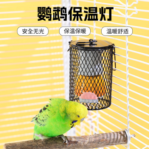 高能鹦鹉鹦鹉保温灯冬季保暖