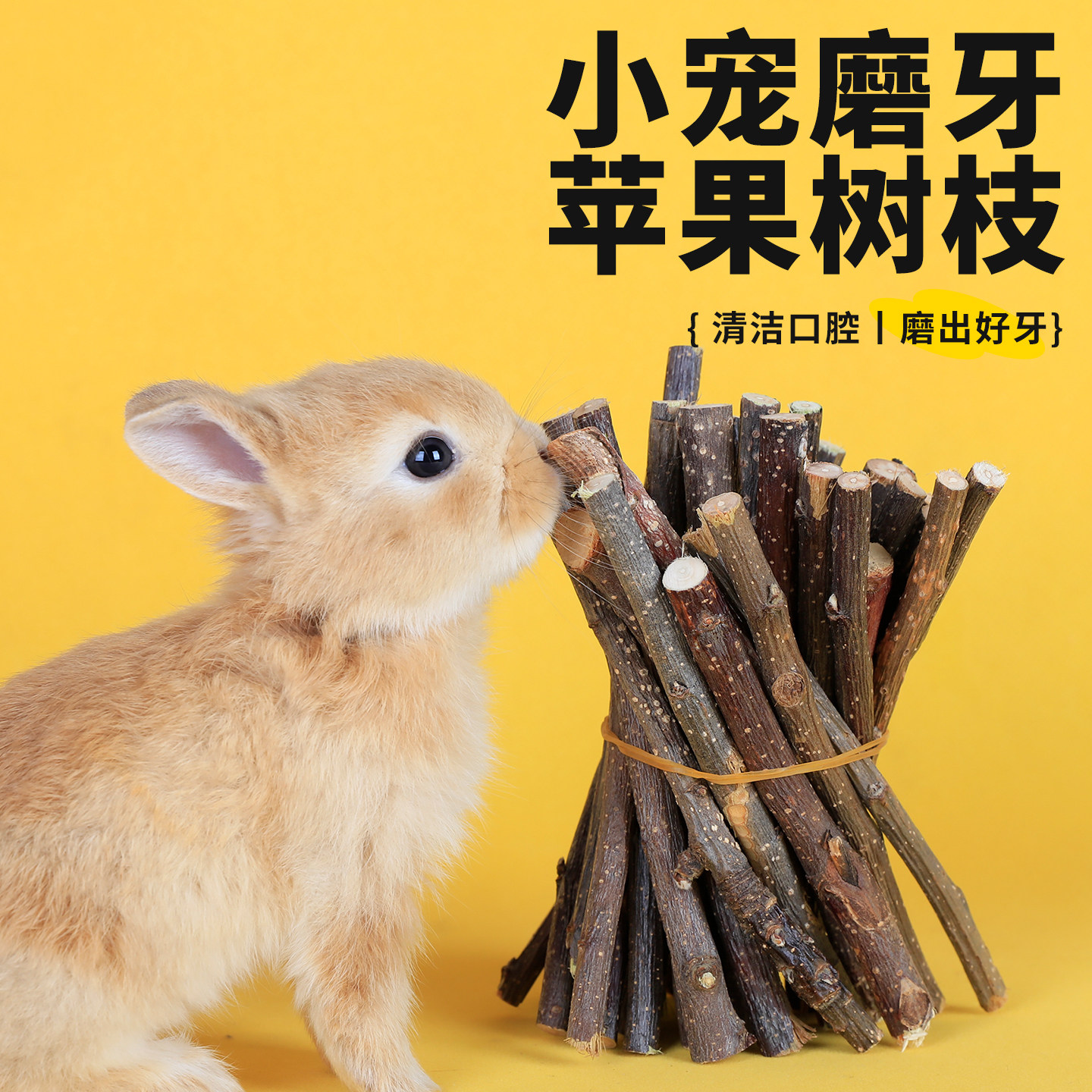 兔子专用磨牙棒仓鼠苹果木枝荷兰猪零食磨牙神器豚鼠龙猫啃咬玩具,宠物/宠物食品及用品,兔兔磨牙,淘宝优惠券,粉丝福利购,淘宝优惠卷