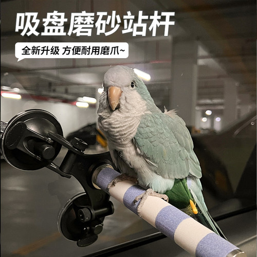 高能鹦鹉鹦鹉吸盘站架吸力强劲