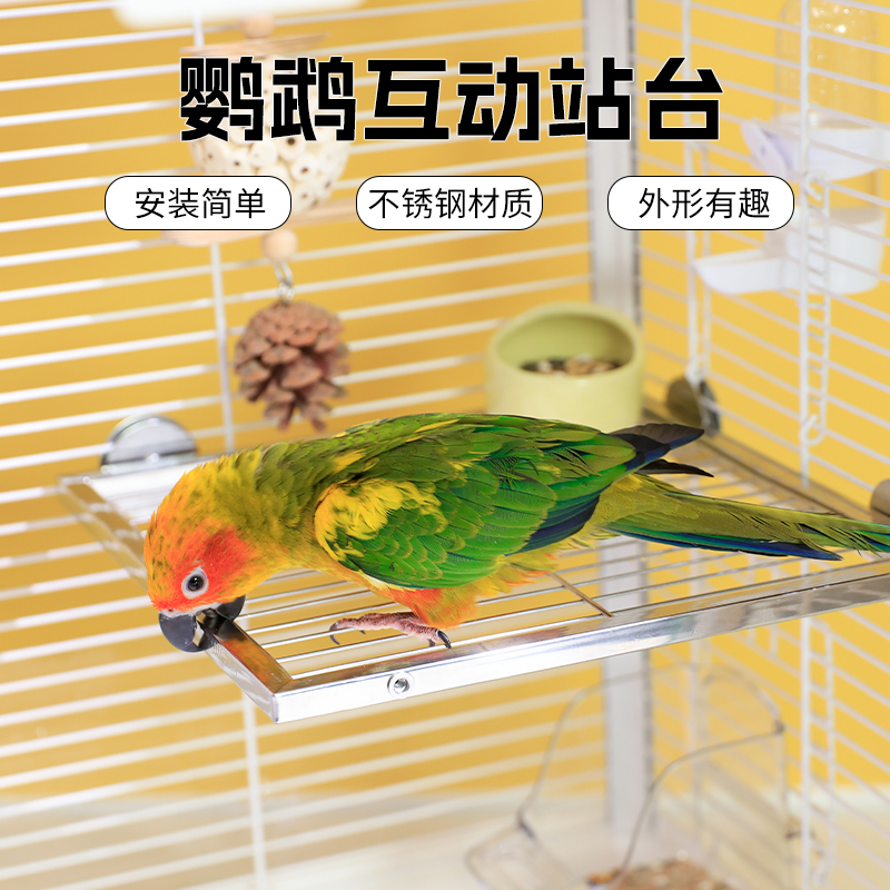 高能鹦鹉不锈钢休息平台方便耐用