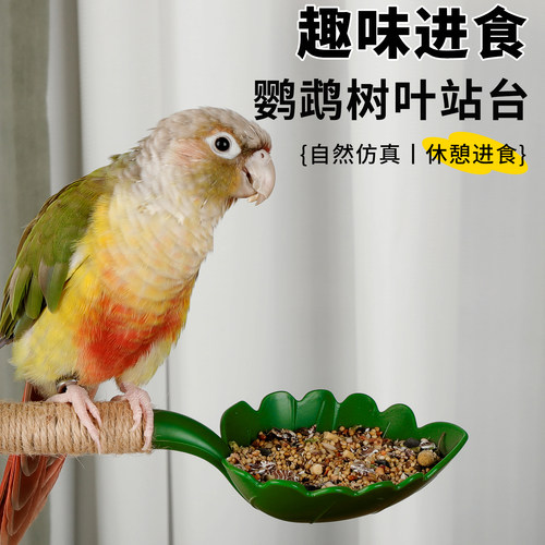 高能鹦鹉鸟栖息站杆多功能可喂食