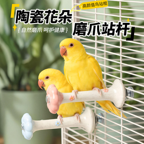 高能鹦鹉陶瓷花朵站杆磨砂质感