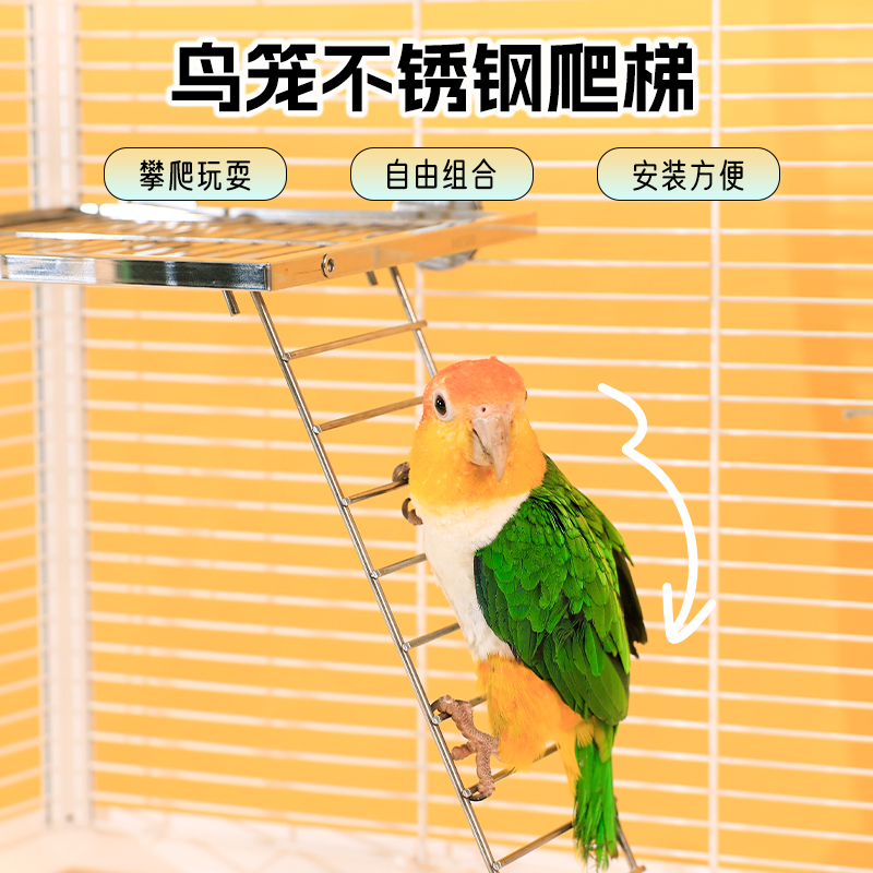 高能鹦鹉不锈钢站台爬梯攀爬玩耍