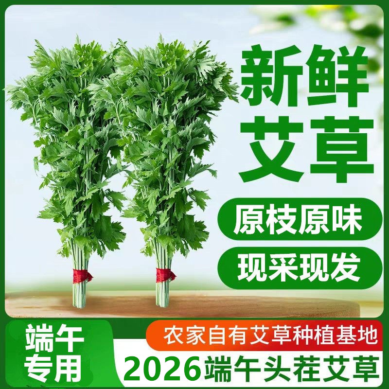 新鲜野生端午艾草挂饰整棵挂门