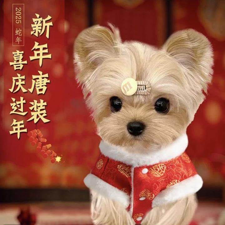狗狗衣服泰迪比熊过年结婚礼服猫咪汉服宠物新年喜庆唐装秋冬加厚