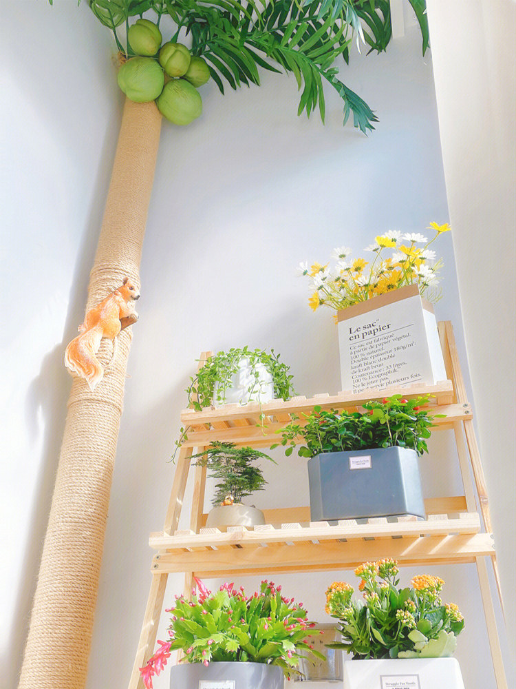 pvc管装饰包落水管排水管消防管子遮挡美化外包装椰子树麻绳改造