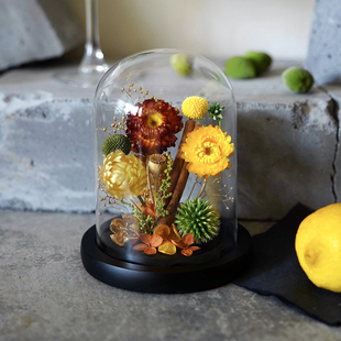 麦秆菊真花永生花植物标本微景观装 饰摆件生日节日礼物送朋友爱人