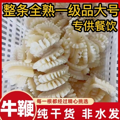 一级品全熟新鲜冷冻牛鞭花免处理牛鞭花商用火锅食材牛鞭花包邮