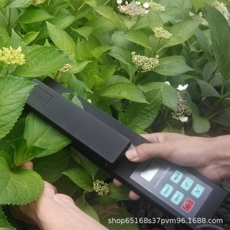 手持式叶面积仪 便携式叶面积仪 植物活体无损检测仪 叶面积指数
