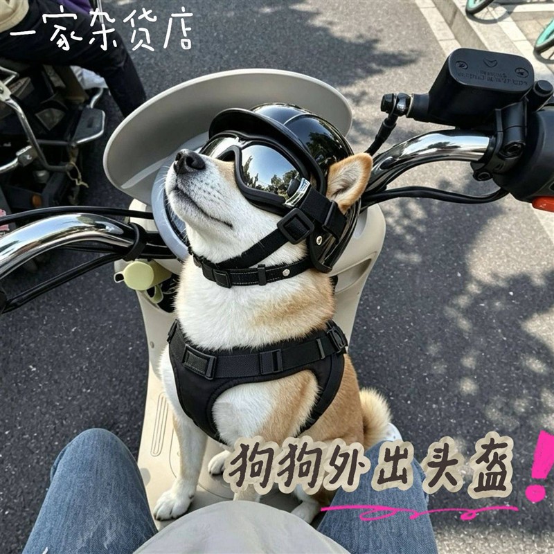 狗狗外出头盔兜风电动车头盔安全帽防风耐摔猫咪头套中小型犬配饰