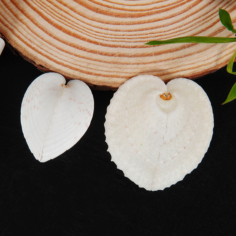 天然鸡心贝爱心贝壳海螺心形贝壳家居装饰收藏礼物海洋纪念爱情