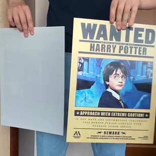 哈利波特3d动漫立体画海报渐变立体海报装饰新家装饰画框送朋友