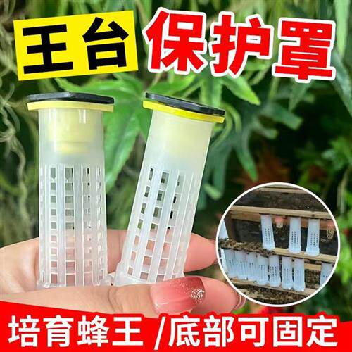 王台保护罩育王专用防咬保护器培育蜂王幼虫台基中蜂意蜂养蜂工具