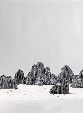 创意假山石盆景配件微景观园艺绿植摆件小石头生态景观鱼缸造景