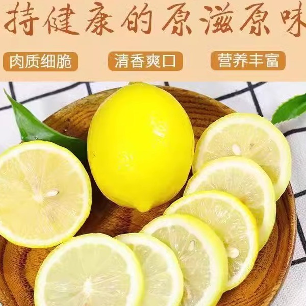 安岳尤力克有籽黃檸檬皮蒲多汁酸爽現(xiàn)摘現(xiàn)發(fā)今年剛上市新檸檬