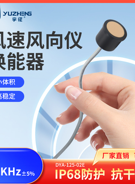 超声波风速风向仪换能器125KHz±5%量程0.12~2m空气中DYA-125-02E