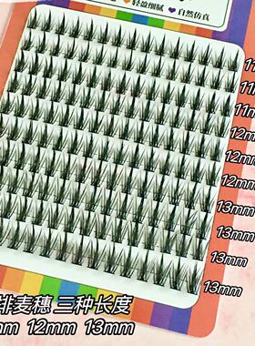 初遇季10排160簇麦穗塔尖假睫毛自然浓密小芭比惡魔漫画眼睫毛T6