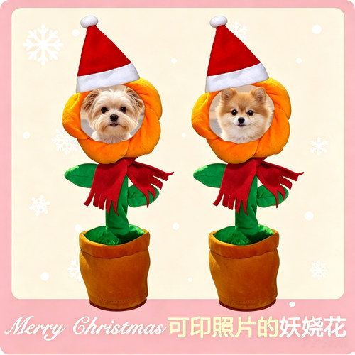 宠物定制电动学话唱跳太阳花摆件
